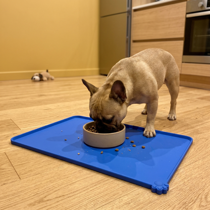 FlowPet™ Silicone Non-Slip Mat